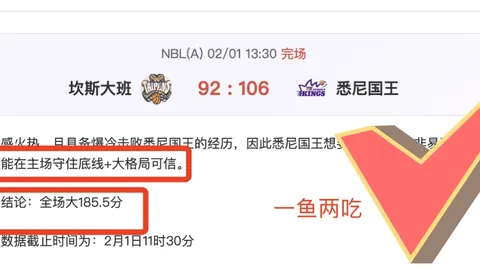 “英超第20轮：曼城4-1大胜西汉姆联 精彩瞬间”